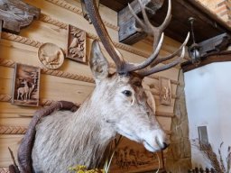 b_1024_768_0_00_images_2022_2023_SKKT_PTTK_rajd_czerwiec_352307345_647141240609278_8202622545112018181_n